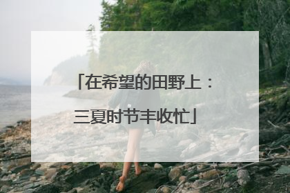 在希望的田野上：三夏时节丰收忙
