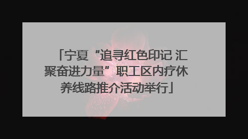 宁夏“追寻红色印记 汇聚奋进力量”职工区内疗休养线路推介活动举行