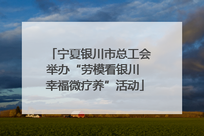 宁夏银川市总工会举办“劳模看银川 幸福微疗养”活动