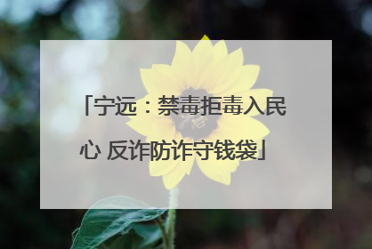 宁远：禁毒拒毒入民心 反诈防诈守钱袋