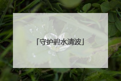 守护碧水清波
