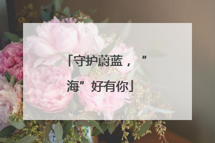守护蔚蓝，“海”好有你