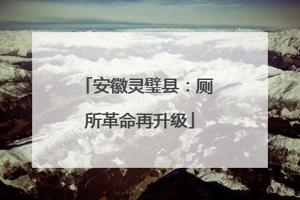 安徽灵璧县：厕所革命再升级