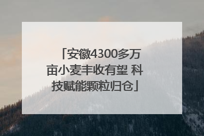 安徽4300多万亩小麦丰收有望 科技赋能颗粒归仓