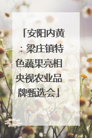 安阳内黄：梁庄镇特色蔬果亮相央视农业品牌甄选会