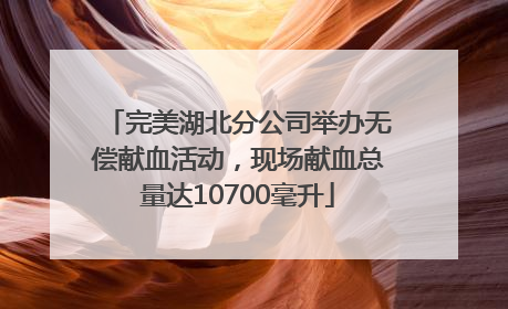 完美湖北分公司举办无偿献血活动，现场献血总量达10700毫升