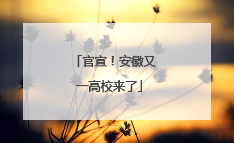官宣！安徽又一高校来了