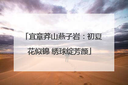 宜章莽山燕子岩：初夏花似锦 绣球绽芳颜