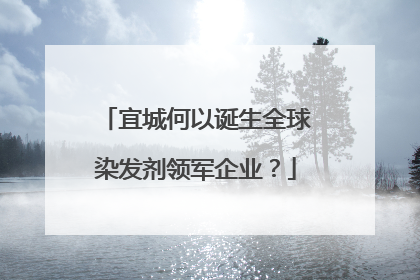 宜城何以诞生全球染发剂领军企业？