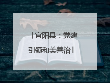 宜阳县：党建引领和美善治