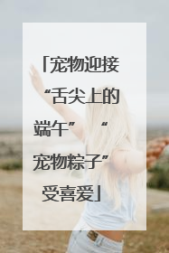 宠物迎接“舌尖上的端午” “宠物粽子”受喜爱