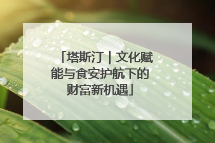 塔斯汀｜文化赋能与食安护航下的财富新机遇