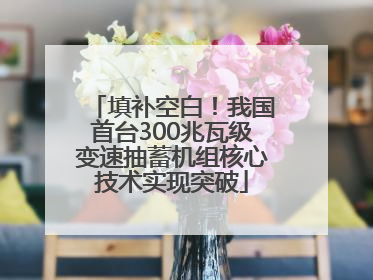 填补空白！我国首台300兆瓦级变速抽蓄机组核心技术实现突破