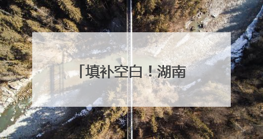 填补空白！湖南八面山国家级自然保护区首次记录珍稀物种宽距兰