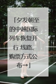 夕发朝至的中越国际列车恢复开行 线路、购票方式公布→