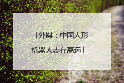 外媒：中国人形机器人志存高远