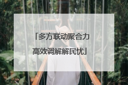 多方联动聚合力 高效调解解民忧
