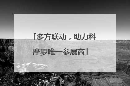 多方联动，助力科摩罗唯一参展商