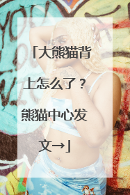 大熊猫背上怎么了？熊猫中心发文→