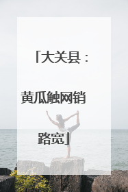 大关县：黄瓜触网销路宽