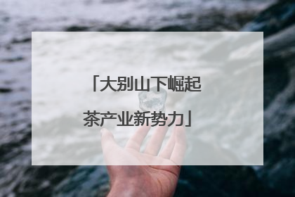 大别山下崛起茶产业新势力