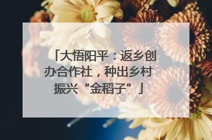 大悟阳平：返乡创办合作社，种出乡村振兴“金稻子”
