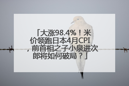 大涨98.4%！米价领跑日本4月CPI，前首相之子小泉进次郎将如何破局？