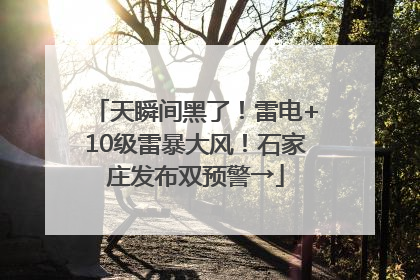 天瞬间黑了！雷电+10级雷暴大风！石家庄发布双预警→