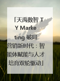 天禹数智 TY Marketing 破局营销新时代：智能体赋能与人才培育双轮驱动