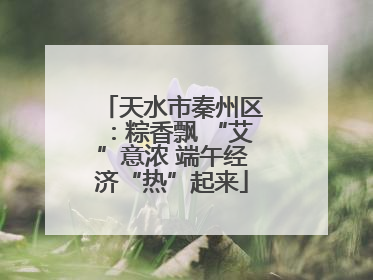 天水市秦州区：粽香飘 “艾”意浓 端午经济“热”起来