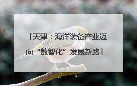 天津：海洋装备产业迈向“数智化”发展新路