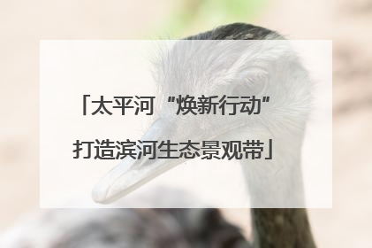 太平河“焕新行动” 打造滨河生态景观带