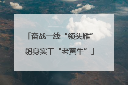 奋战一线“领头雁” 躬身实干“老黄牛”