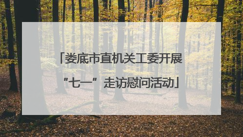 娄底市直机关工委开展“七一”走访慰问活动