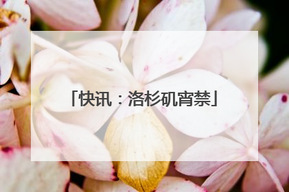 快讯：洛杉矶宵禁