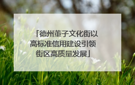 德州董子文化街以高标准信用建设引领街区高质量发展