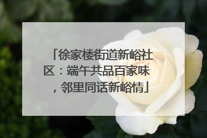 徐家楼街道新峪社区：端午共品百家味，邻里同话新峪情
