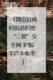 微山县傅村街道织密“三夏”安全网 护航丰产丰收季