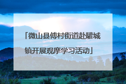 微山县傅村街道赴驩城镇开展观摩学习活动