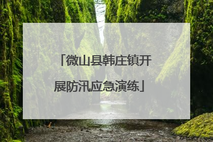 微山县韩庄镇开展防汛应急演练