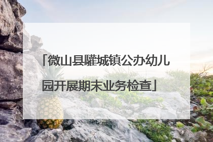 微山县驩城镇公办幼儿园开展期末业务检查