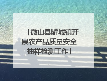 微山县驩城镇开展农产品质量安全抽样检测工作