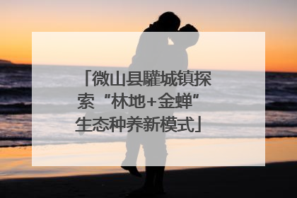 微山县驩城镇探索“林地+金蝉”生态种养新模式