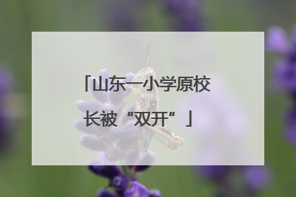 山东一小学原校长被“双开”