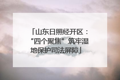 山东日照经开区：“四个聚焦”筑牢湿地保护司法屏障