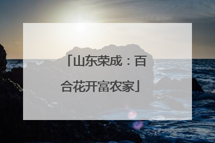 山东荣成：百合花开富农家
