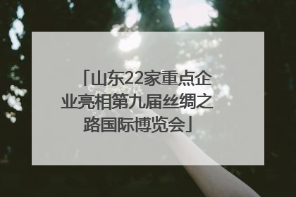 山东22家重点企业亮相第九届丝绸之路国际博览会