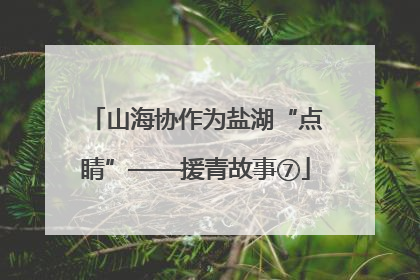 山海协作为盐湖“点睛”——援青故事⑦