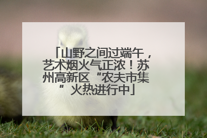 山野之间过端午，艺术烟火气正浓！苏州高新区“农夫市集”火热进行中