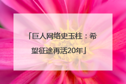 巨人网络史玉柱：希望征途再活20年